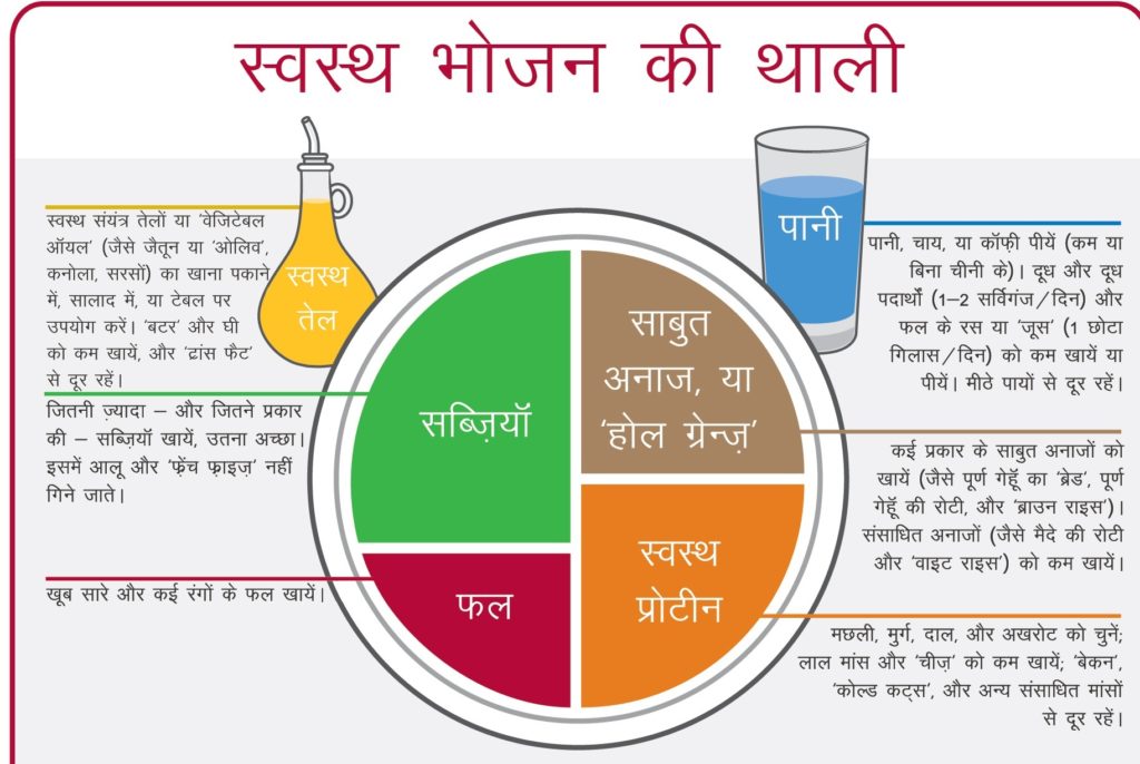 protein assignment pdf in hindi